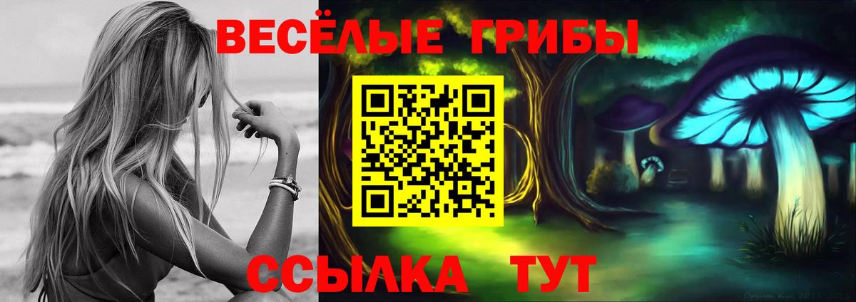 Вышний Волочёк  закладка  Вход с VPN  Псилоцибиновые грибы прущие грибы 